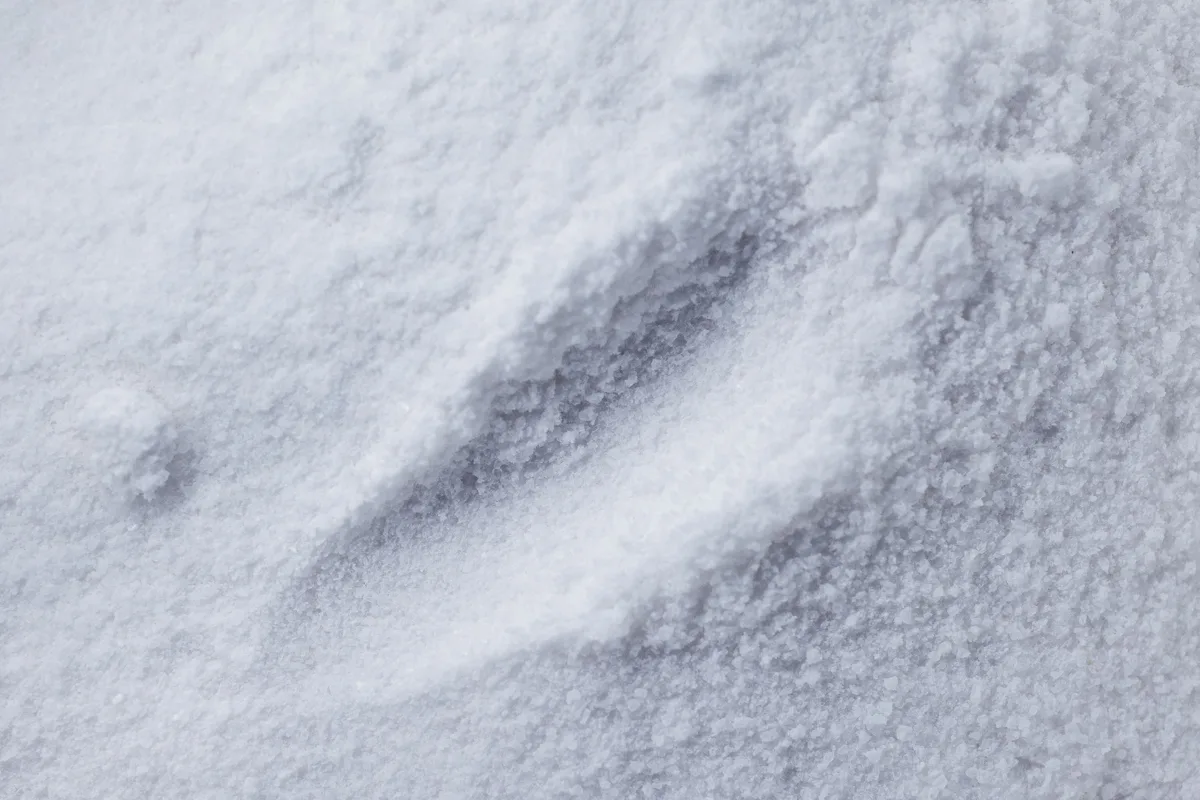 Ammonium Sulphate